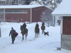 Jouluna on joskus ollut lunta- kuva UpsR jouluratsastuksesta Eriksnäsissä