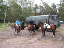 Hesbakki esitteli islannihevosia