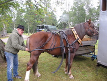 Kiripassi ja Petri Nykänen valmistautuvat kärryajeluun