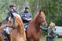 Poliisit kertovat hevosistaan