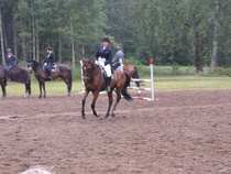 Tea Blom kouluratsastusnäytöksessä