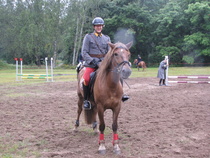 Tyylikäs kilpailija no 2