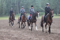 Reijo Hietamäen johtama sotilaspukuisten katrillli, Reijolla ratsuna UpsR uusi hevonen Adagio